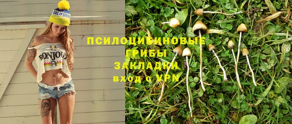 дурь Наволоки