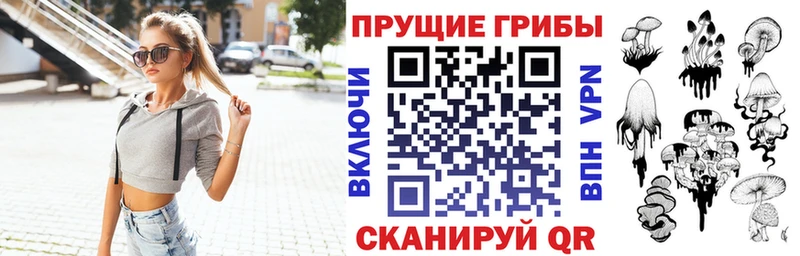 Псилоцибиновые грибы Cubensis Андреаполь