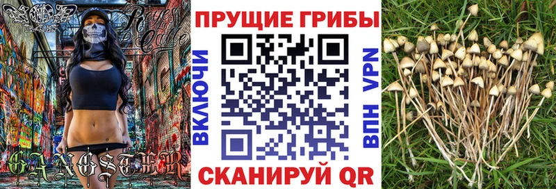 Галлюциногенные грибы мухоморы  Купить где  Андреаполь 